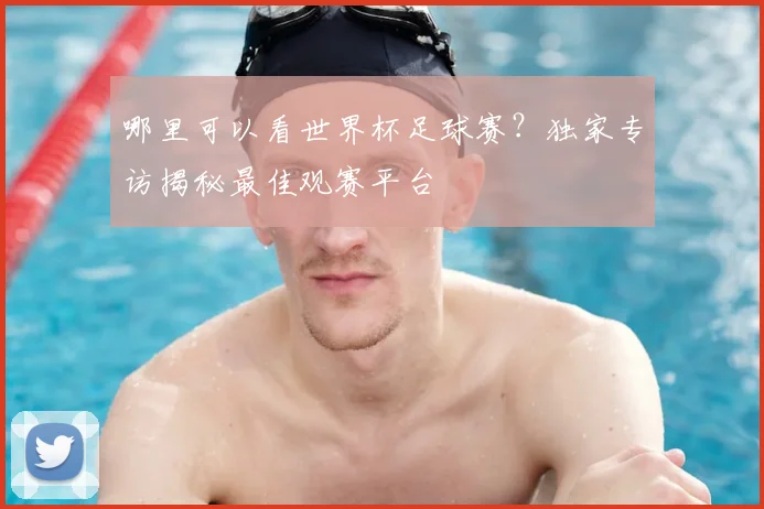 哪里可以看世界杯足球赛？独家专访揭秘最佳观赛平台