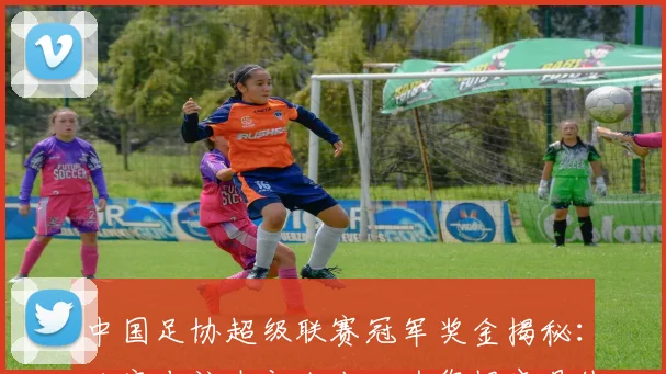 中国足协超级联赛冠军奖金揭秘：独家专访内部人士，为您揭晓具体数额与分配内幕