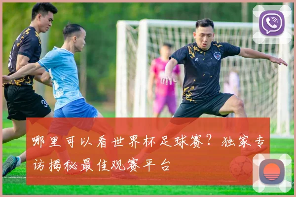 哪里可以看世界杯足球赛？独家专访揭秘最佳观赛平台